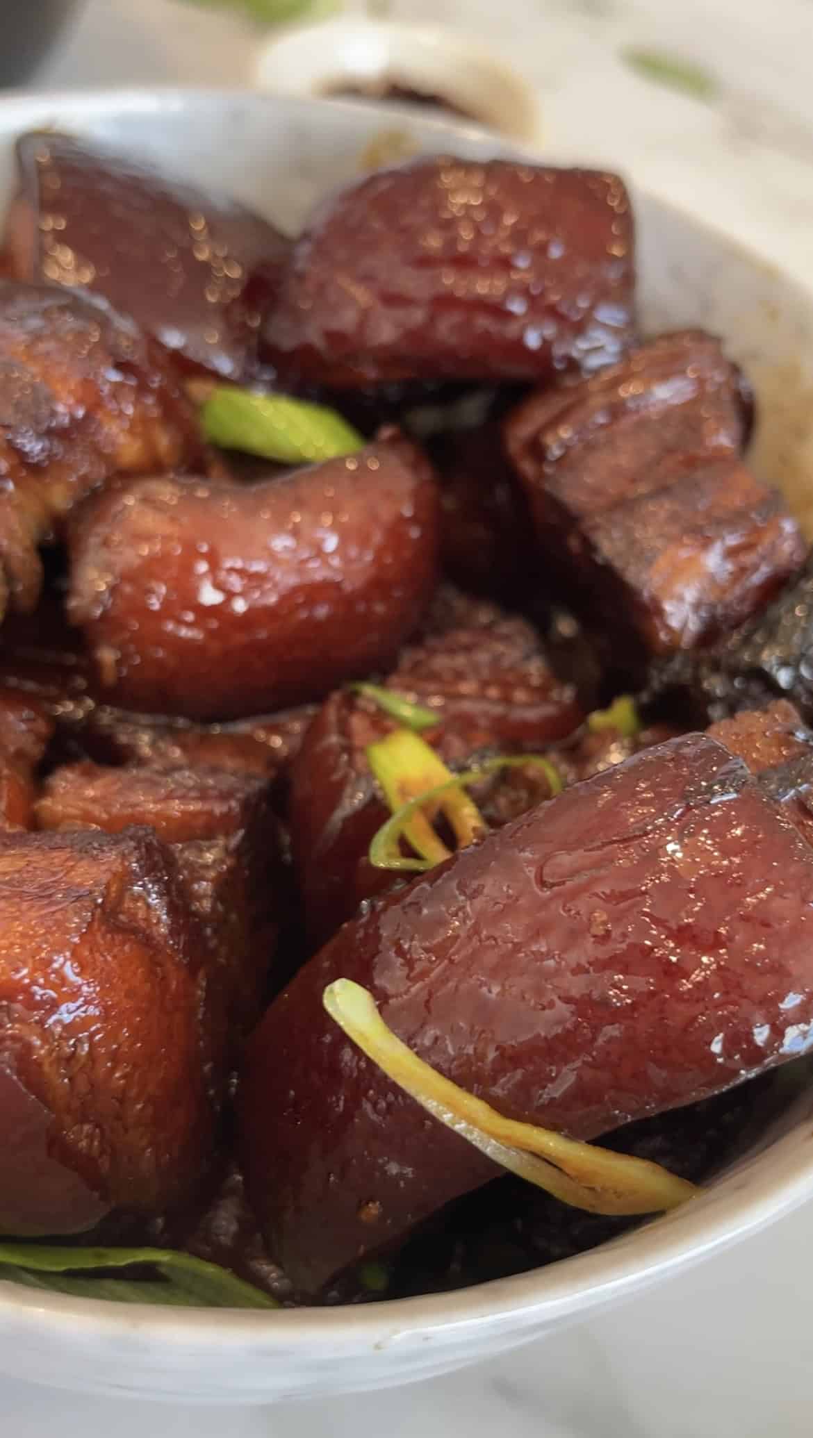Red Braised Pork Close up