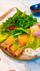 Egg Rolls-3