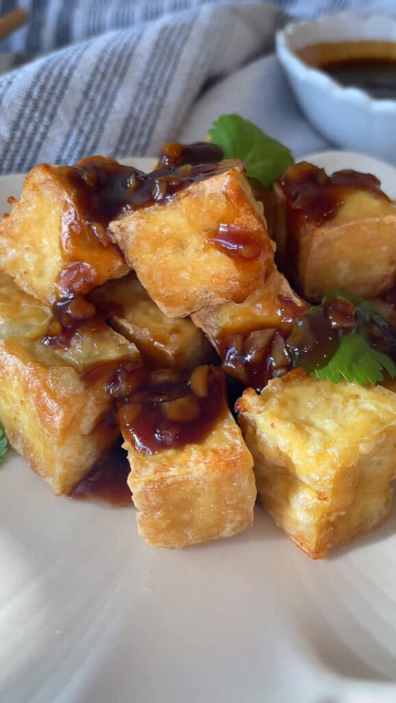 Fried Tofu Garlic Sauce-5