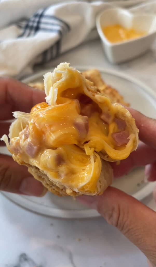 Cheesy Ham Roll Ups-2