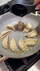 Beef Dumplings how to cook