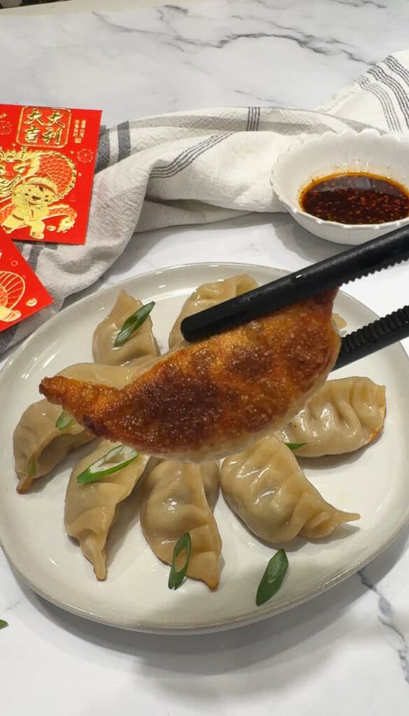 Beef Dumplings-3