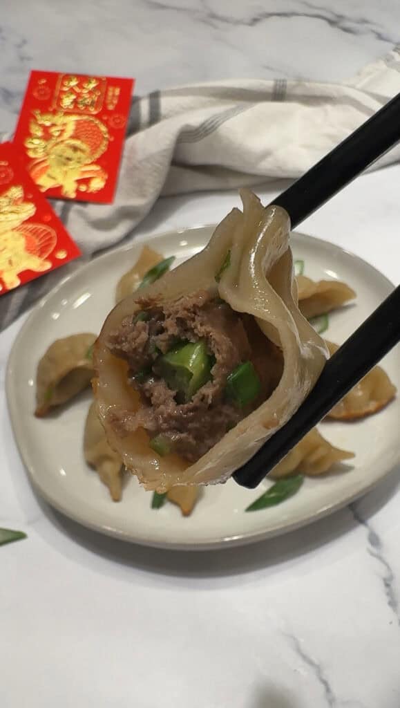 Beef Dumplings-4