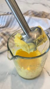 Vietnamese Mayo immersion blender
